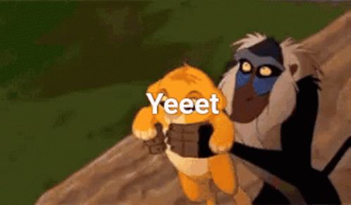 yeet.gif